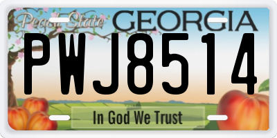 GA license plate PWJ8514