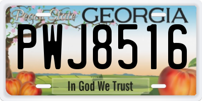 GA license plate PWJ8516