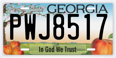 GA license plate PWJ8517
