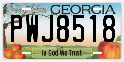 GA license plate PWJ8518