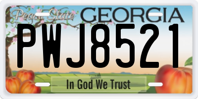 GA license plate PWJ8521