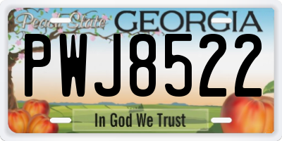 GA license plate PWJ8522