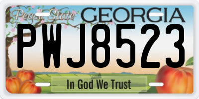 GA license plate PWJ8523