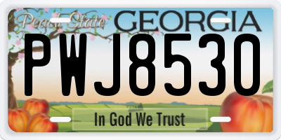 GA license plate PWJ8530