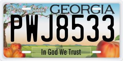 GA license plate PWJ8533