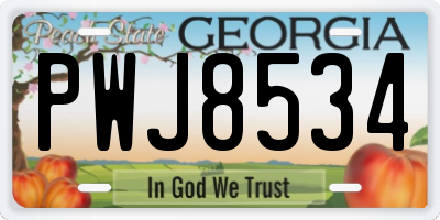 GA license plate PWJ8534