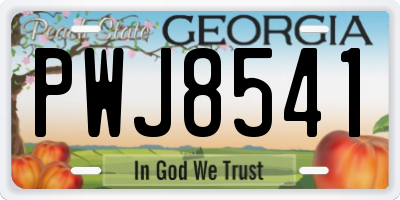 GA license plate PWJ8541