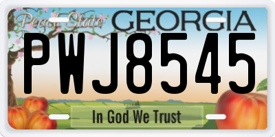 GA license plate PWJ8545
