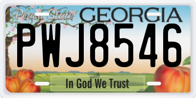 GA license plate PWJ8546