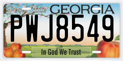 GA license plate PWJ8549