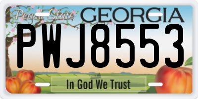 GA license plate PWJ8553