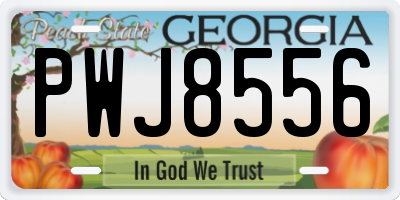 GA license plate PWJ8556