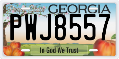 GA license plate PWJ8557