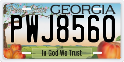 GA license plate PWJ8560