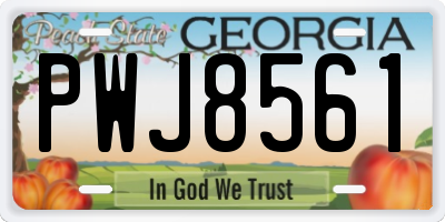 GA license plate PWJ8561