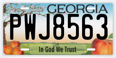 GA license plate PWJ8563