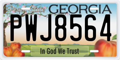 GA license plate PWJ8564