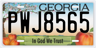 GA license plate PWJ8565