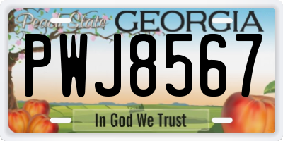 GA license plate PWJ8567