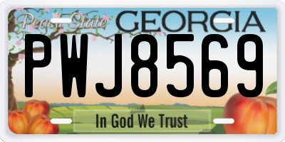 GA license plate PWJ8569