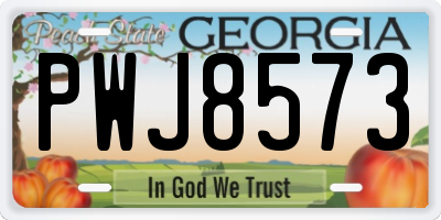 GA license plate PWJ8573