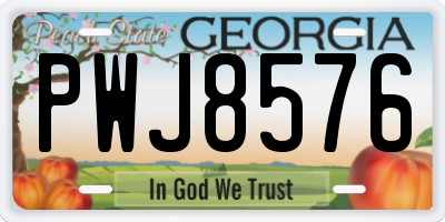GA license plate PWJ8576