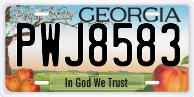 GA license plate PWJ8583