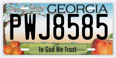 GA license plate PWJ8585