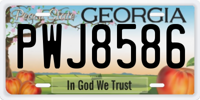 GA license plate PWJ8586