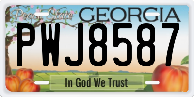 GA license plate PWJ8587