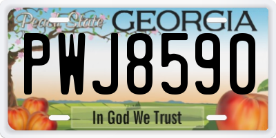 GA license plate PWJ8590