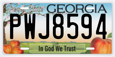 GA license plate PWJ8594