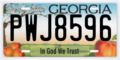 GA license plate PWJ8596