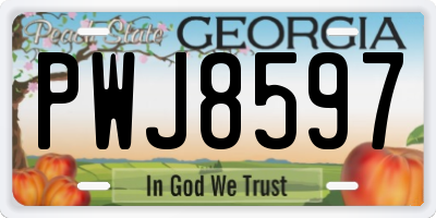 GA license plate PWJ8597