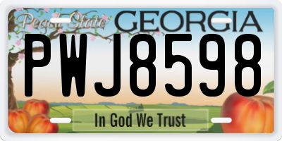 GA license plate PWJ8598