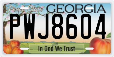 GA license plate PWJ8604