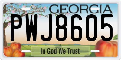 GA license plate PWJ8605