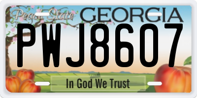 GA license plate PWJ8607