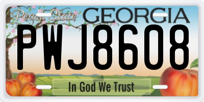 GA license plate PWJ8608