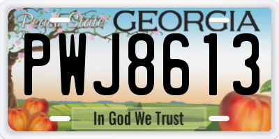 GA license plate PWJ8613