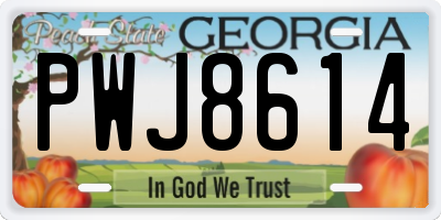 GA license plate PWJ8614