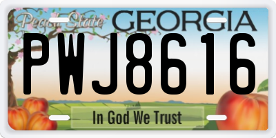 GA license plate PWJ8616