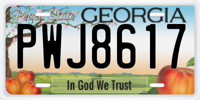 GA license plate PWJ8617