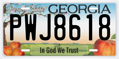 GA license plate PWJ8618