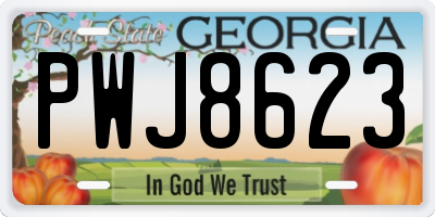 GA license plate PWJ8623