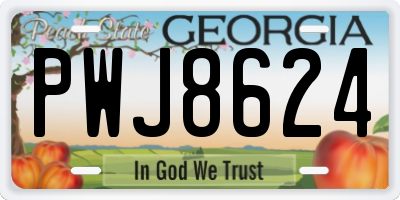 GA license plate PWJ8624