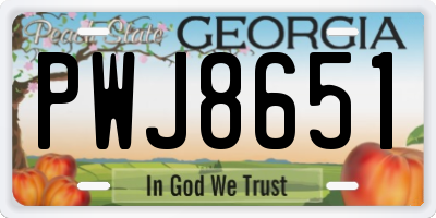 GA license plate PWJ8651
