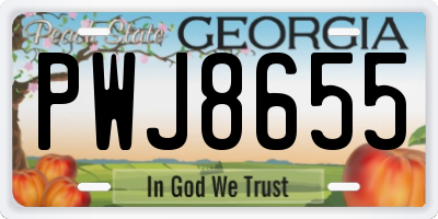 GA license plate PWJ8655