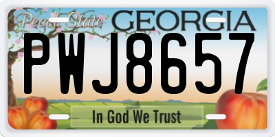 GA license plate PWJ8657