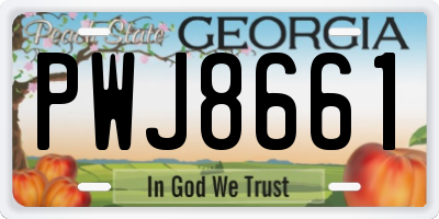 GA license plate PWJ8661